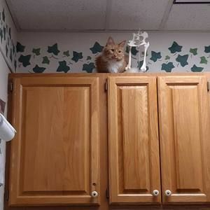 Meet your Posher, Zoey